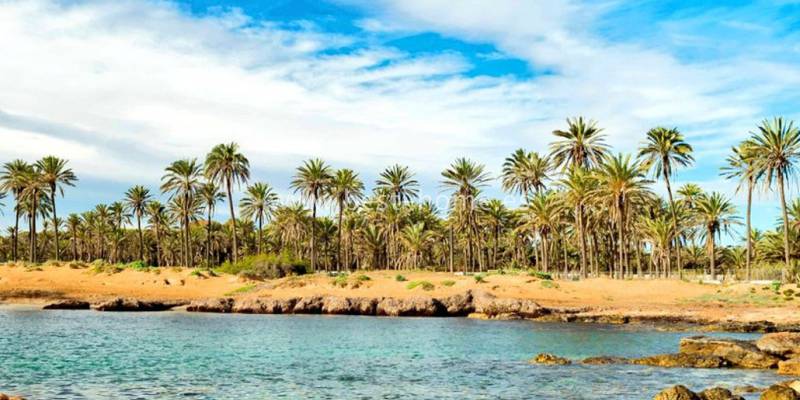 Torrevieja, 320 days of sunshine a year